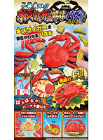 一杯買い！！本ズワイガニ解体パズル-内子付き-