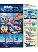 解体パズル ホホジロザメ