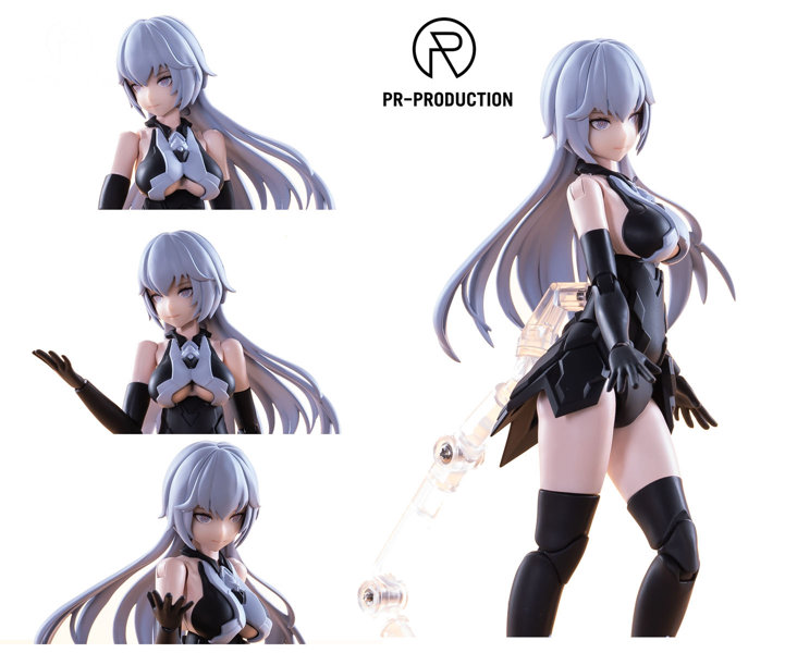 PR-PRODUCTIONProject 狩 シリーズ 漣