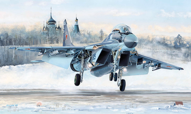 81786 1/48 エアクラフトシリーズ MiG-29K フルクラムD