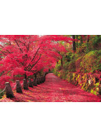吉野山の紅葉景-奈良