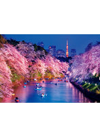 51-275 千鳥ヶ淵の夜桜