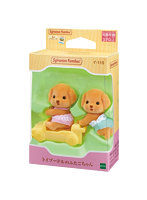 トイプードルのふたごちゃん