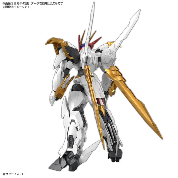 HG Amplified IMGN 龍王丸