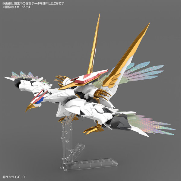 HG Amplified IMGN 龍王丸