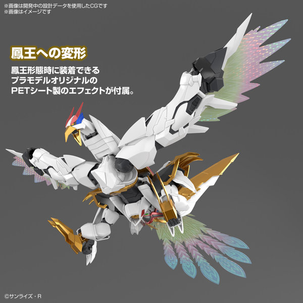 HG Amplified IMGN 龍王丸