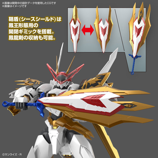 HG Amplified IMGN 龍王丸