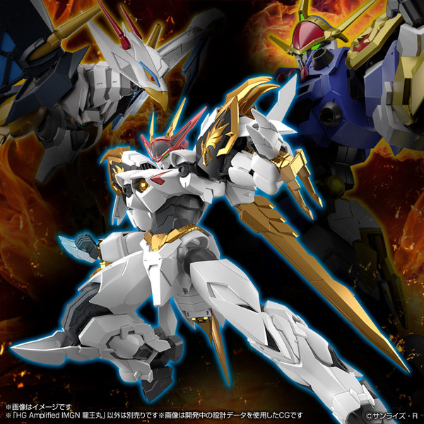 HG Amplified IMGN 龍王丸