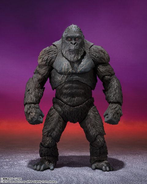 S.H.MonsterArts KONG FROM GODZILLA x KONG: THE NEW EMPIRE （2024）