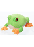 エココエカエル（アカメアマガエル）