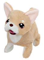 トゥインクルアイズパピー（チワワ）