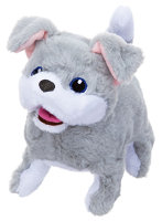トゥインクルアイズパピー（テリア）