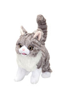 だっこでミィミィ こねこのタビー
