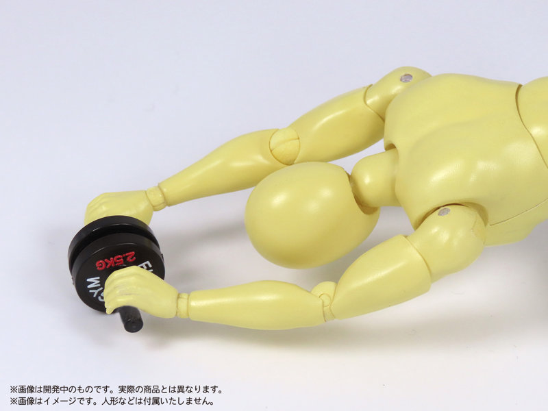 プリプラ フィギュアの筋トレ