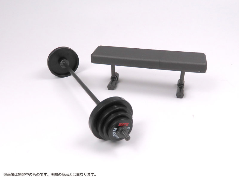 プリプラ フィギュアの筋トレ