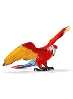 コンゴウインコ
