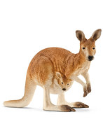 カンガルー