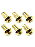 3×6 ステンレスヘックスボタンビス（6本入） 24Kゴールドメッキ
