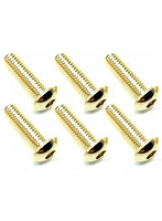 3×10 ステンレスヘックスボタンビス（6本入） 24Kゴールドメッキ