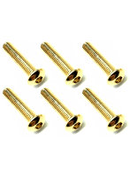 3×14 ステンレスヘックスボタンビス（6本入） 24Kゴールドメッキ