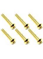 3×16 ステンレスヘックスボタンビス（6本入） 24Kゴールドメッキ