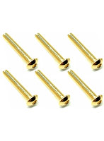 3×18 ステンレスヘックスボタンビス（6本入） 24Kゴールドメッキ