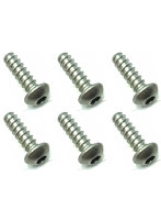 3×10 チタンヘックスナベタッピングビス（6本入）