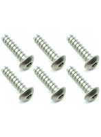 4X15 チタンヘックスナベタッピングビス（6本入）