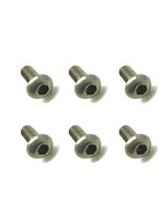 2x5 チタンヘックスボタンビス（6本入）