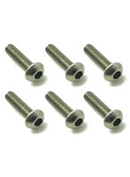 2x8 チタンヘックスボタンビス（6本入）