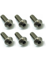 チタンヘックスナベビス（6本入）3×8