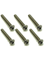 チタンヘックスナベビス（6本入）3×20