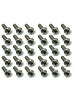 チタンヘックスナベビス（30本入）3×8