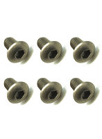 4x8 チタンヘックスボタンビス（6本入）