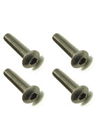 4x20ヘックスボタンビス（4本入）