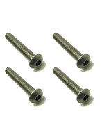 4x25ヘックスボタンビス（4本入）