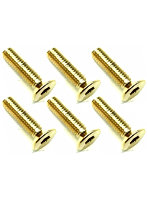 3×12 ステンレスヘックス皿ビス（6本入） 24Kゴールドメッキ