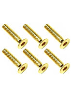 3×14 ステンレスヘックス皿ビス（6本入） 24Kゴールドメッキ