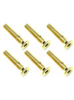 3×16 ステンレスヘックス皿ビス（6本入） 24Kゴールドメッキ