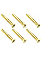 3×20 ステンレスヘックス皿ビス（6本入） 24Kゴールドメッキ