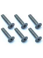 2.6x12 チタンヘックス皿ビス（6本入）