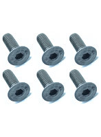 2.6x8 チタンヘックス皿ビス（6本入）