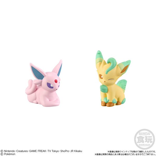 ポケモンキッズ リコと旅の仲間たち編 （全15種） 1BOX:24個入