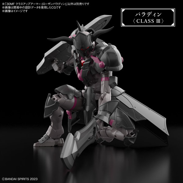 30MF クラスアップアーマー （ローザンパラディン）