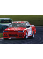 1/24 インチアップシリーズ No.313 RICOH NISSAN SKYLINE GTS-R （R31 Gr.A仕様 1988）