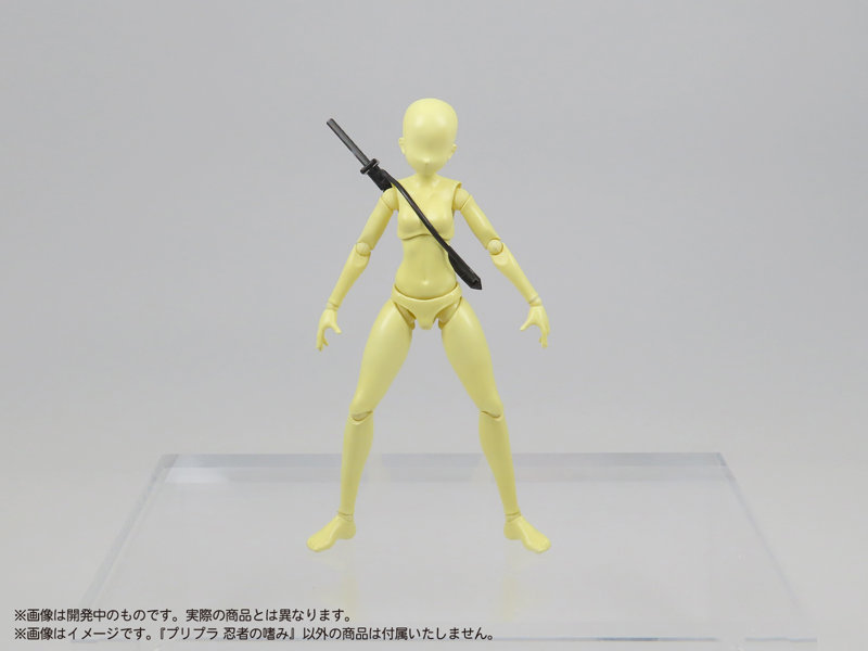 プリプラ 忍者の嗜み