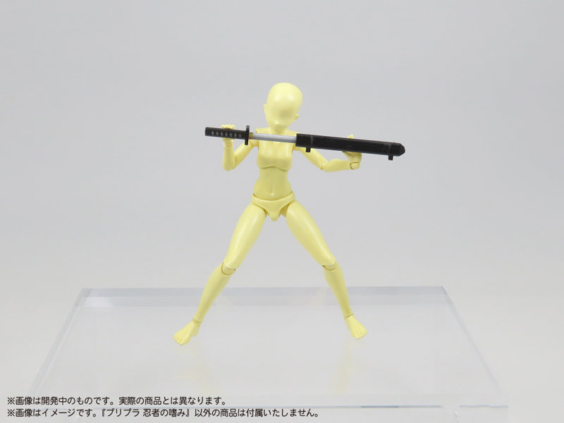 プリプラ 忍者の嗜み