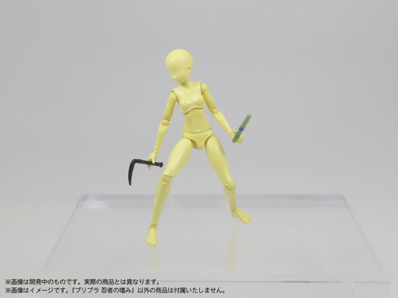 プリプラ 忍者の嗜み