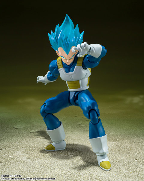 S.H.Figuarts ドラゴンボール超 スーパーサイヤ人ゴッドスーパーサイヤ人ベジータ-貫き通すサイヤ人の誇り-