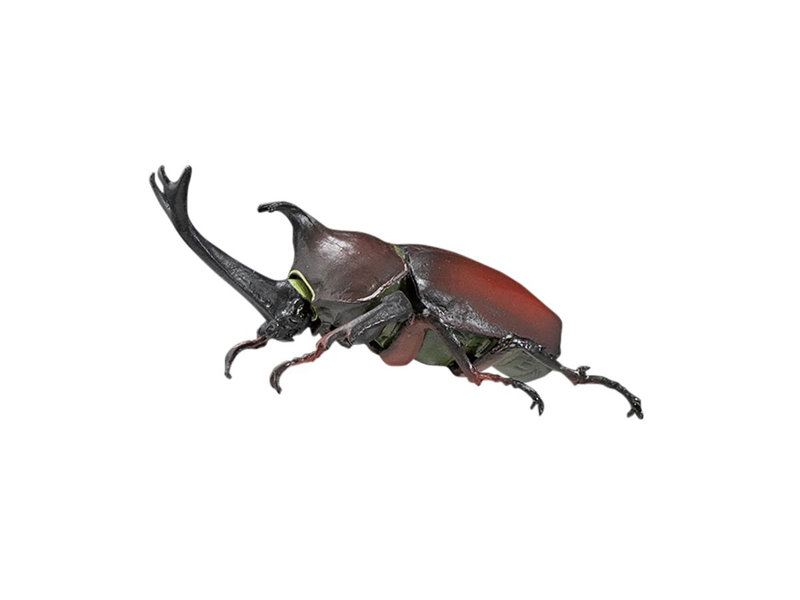 昆虫ハンター